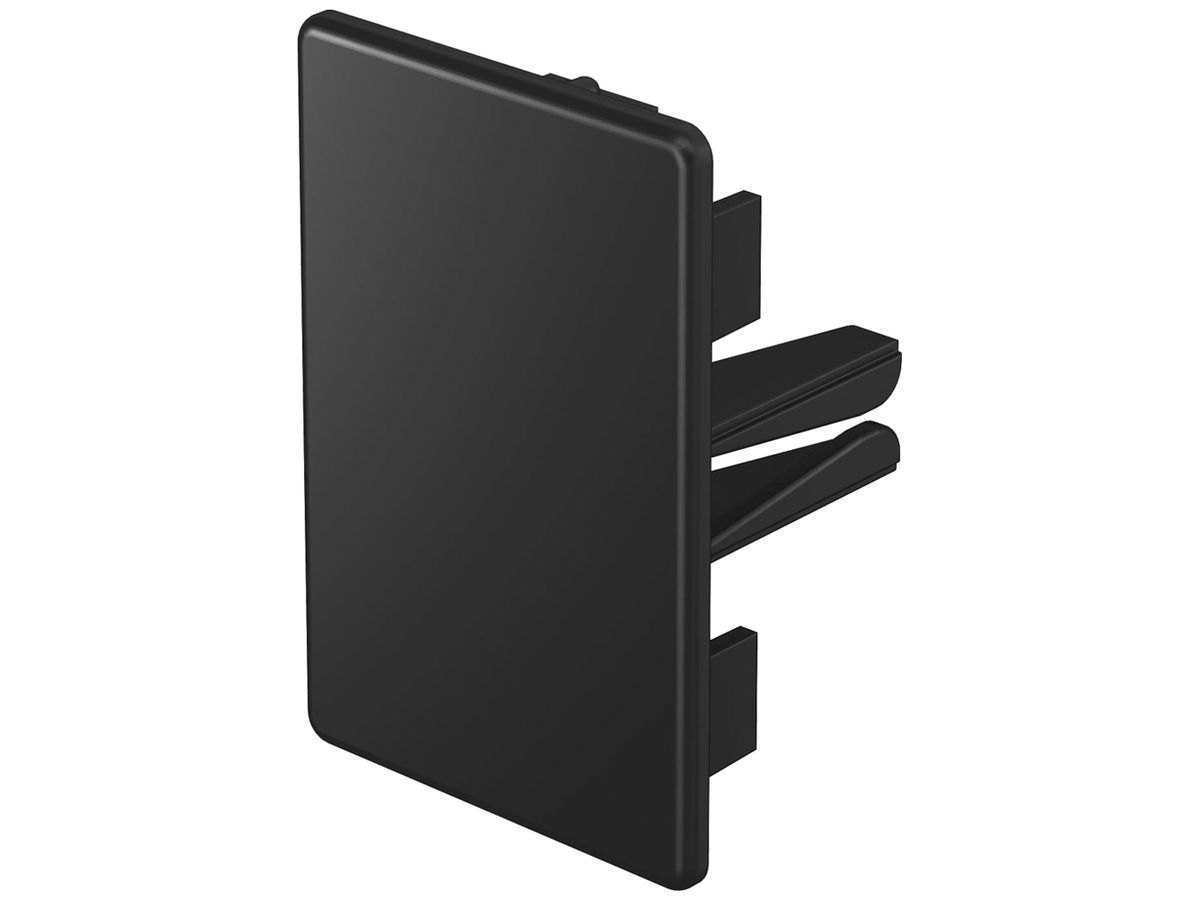Endplatte BET WDK 60×40mm PVC sz