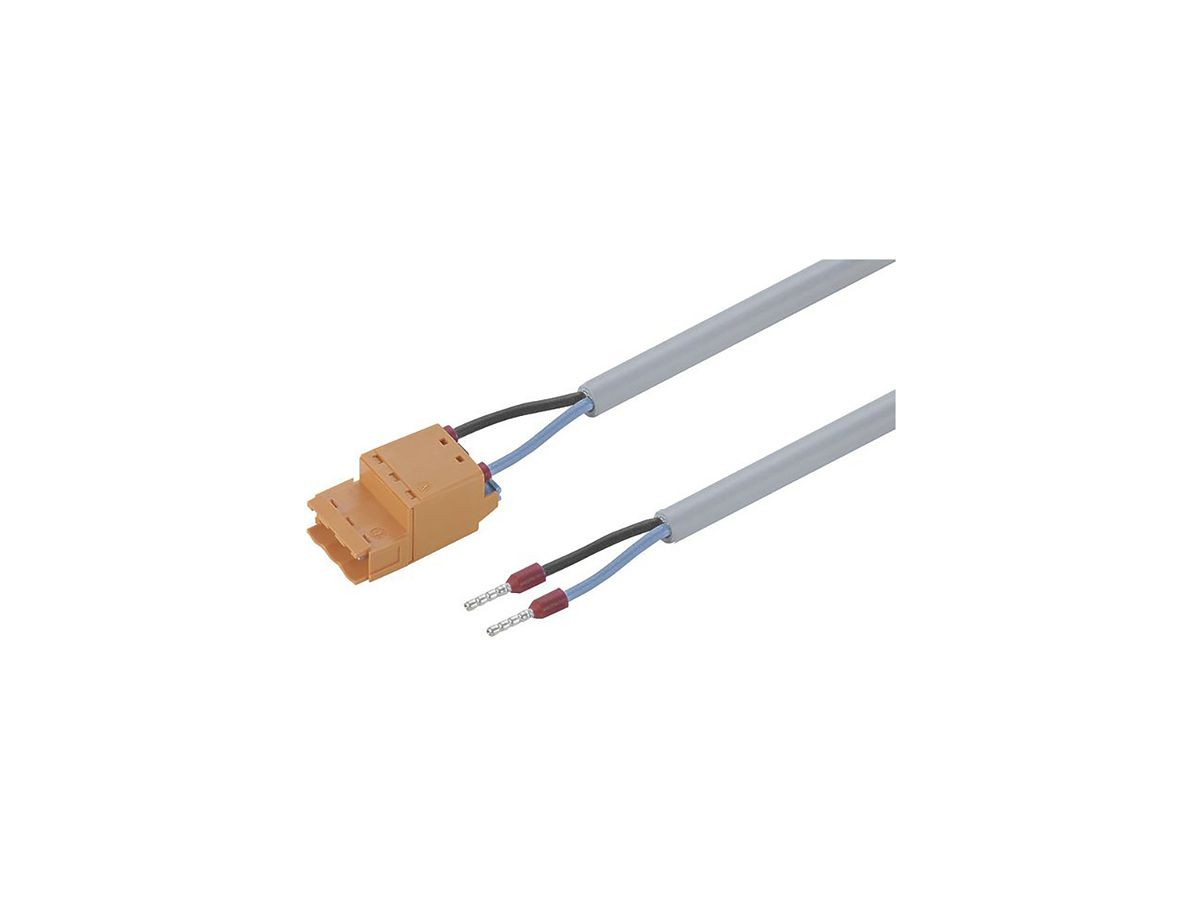 Anschlusskabel WM SmartMetering CH-SMC-00.80-VC180, 2×1.5mm², 0.8m