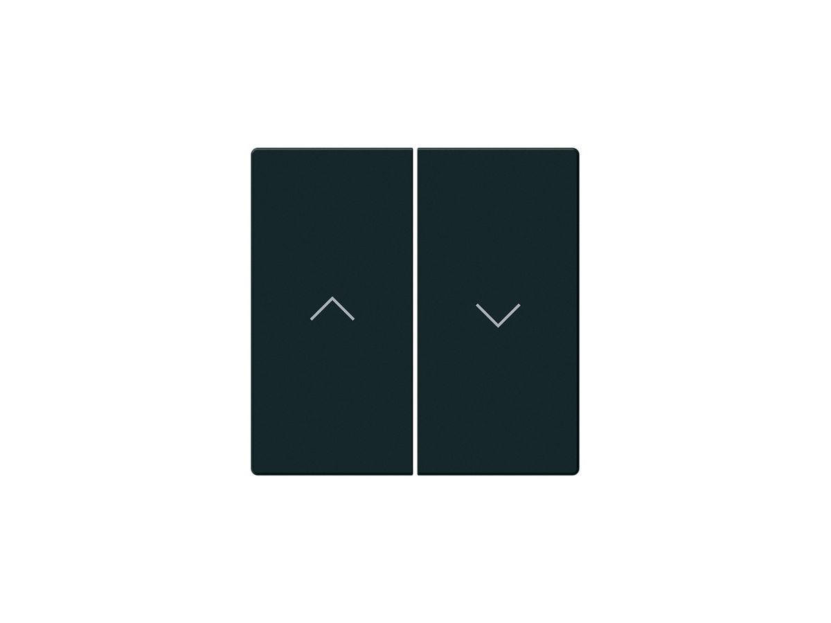 KNX-Storentasterfront Hager BA kallysto Z 2-fach schwarz