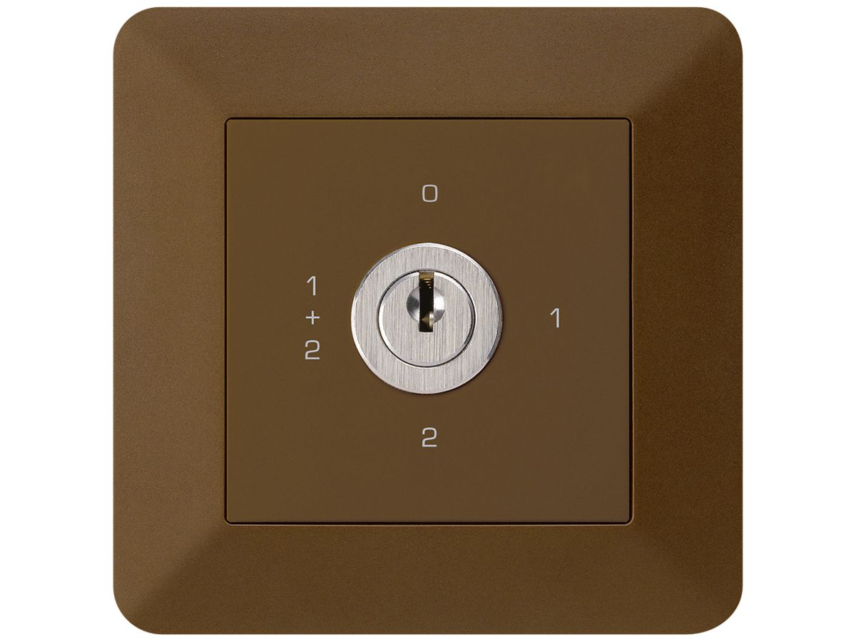 UP-Drehschalter kallysto.trend 1/1L braun mit Schloss Kaba 8