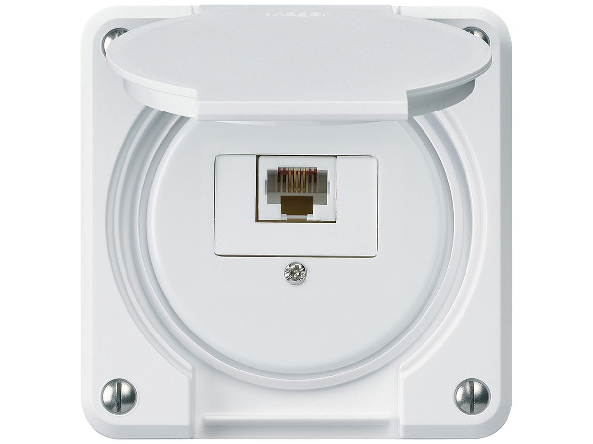 UP-Anschlussdose robusto IP55 weiss 1×RJ45/u