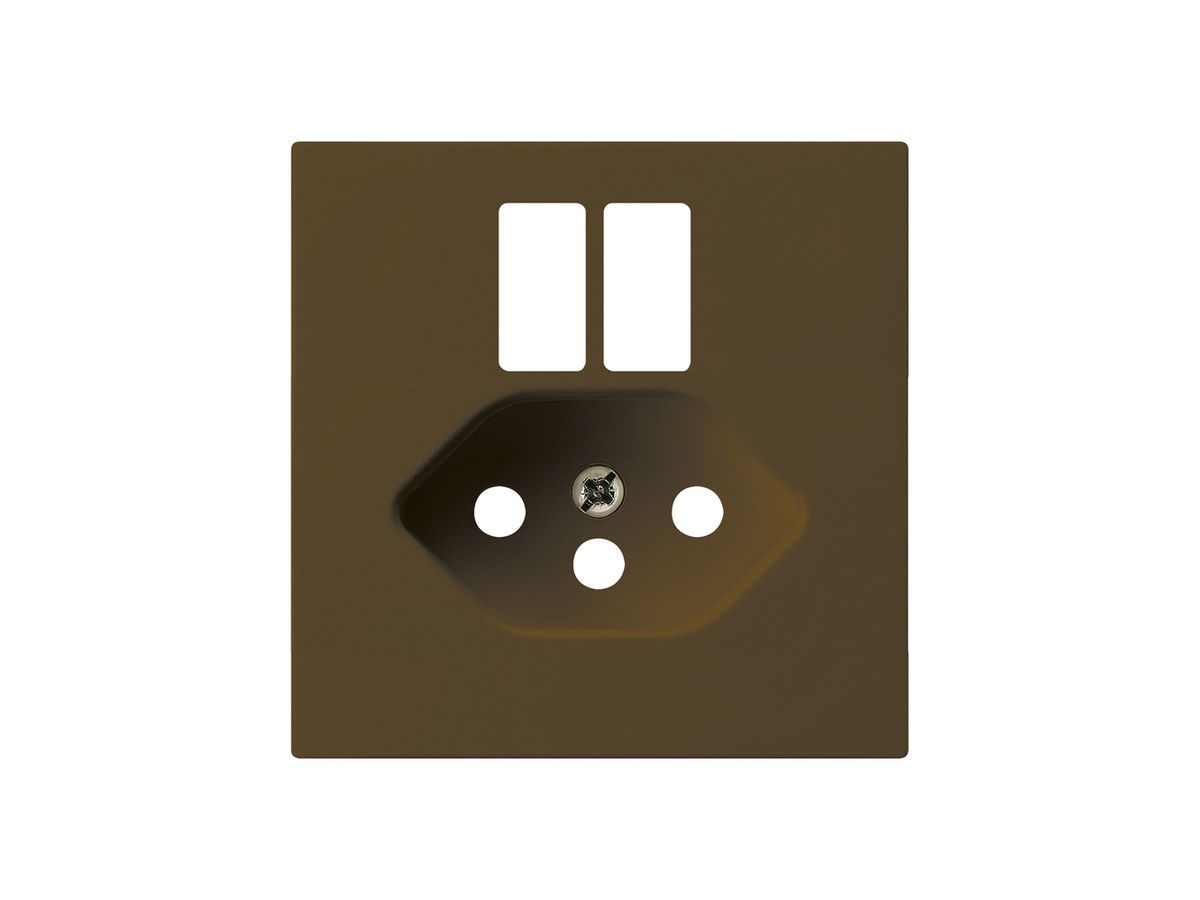 Frontplatte kallysto f.Steckdose 2×USB & T13 braun