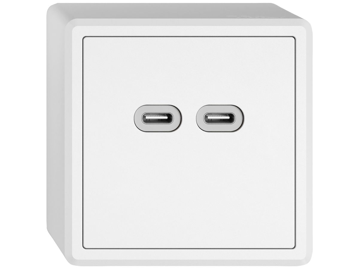 AP-USB-Ladesteckdose EDIZIO.liv SNAPFIX® 230VAC 18W 2×USB Typ C ws