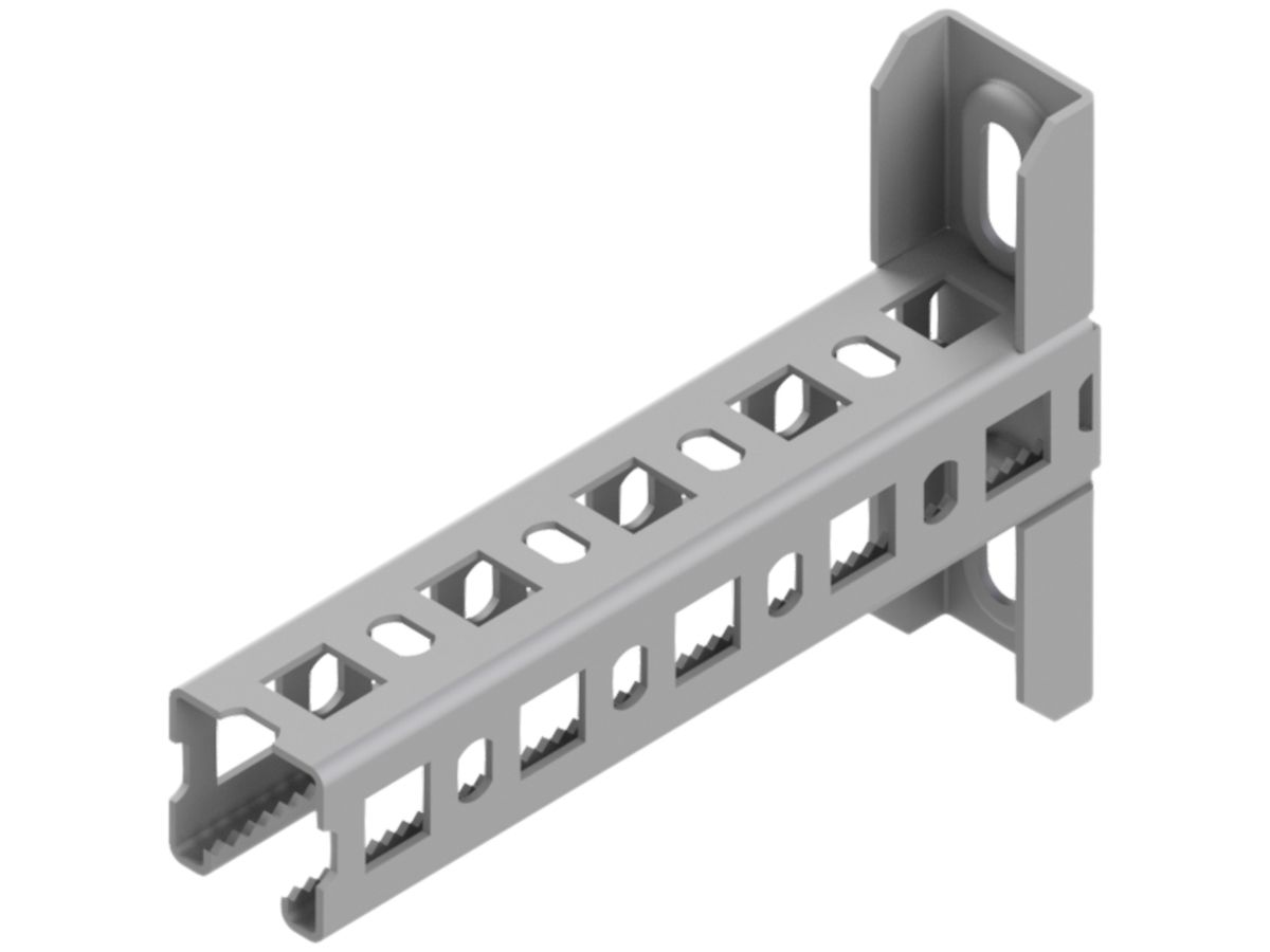 Ausleger Lanz 250mm verzinkt