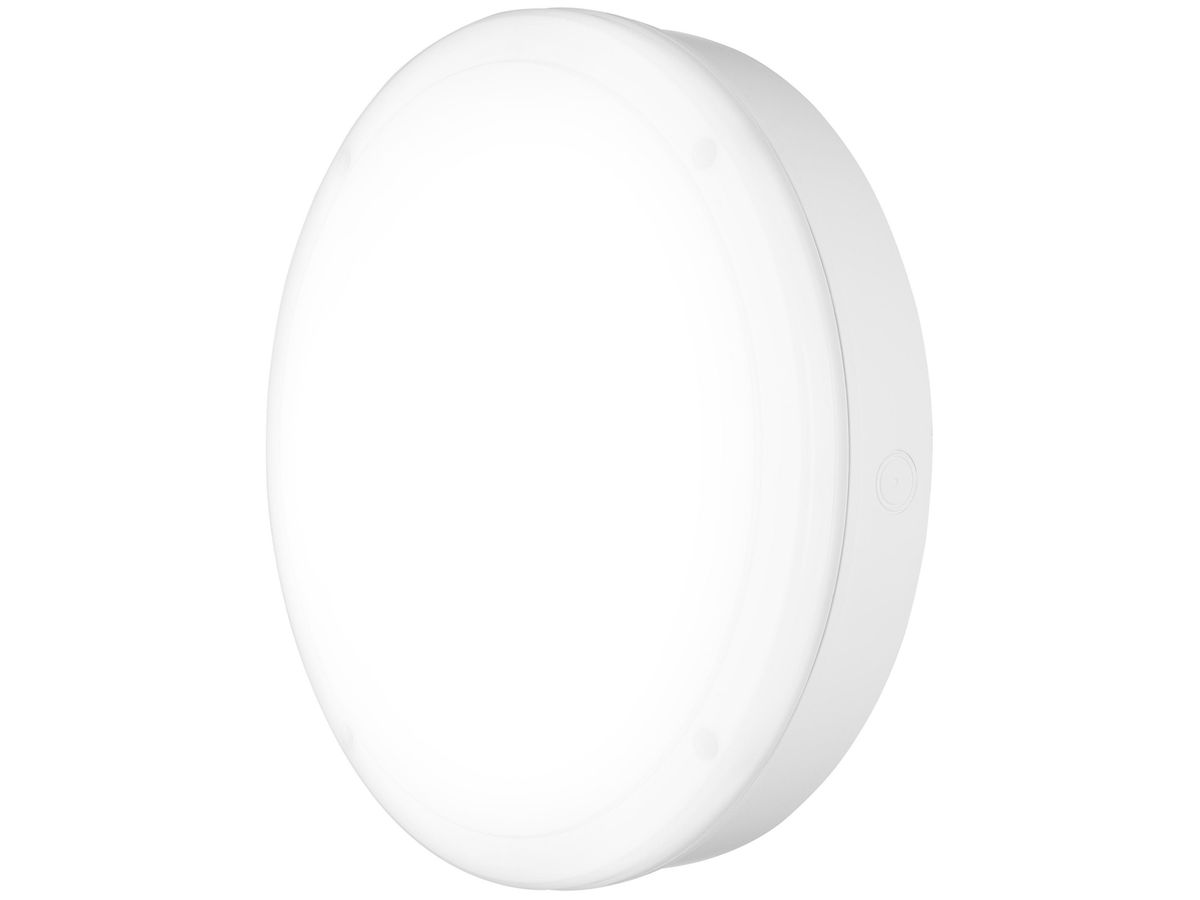 LED-Notleuchte SURFACE BULKHEAD 300 EM 15W 1400lm 830 3h IP65 ws