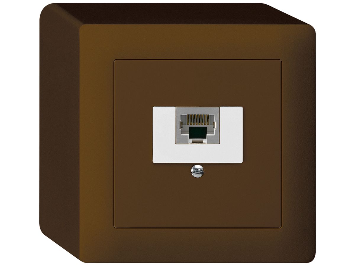 AP-Dose kallysto 1×RJ45s braun