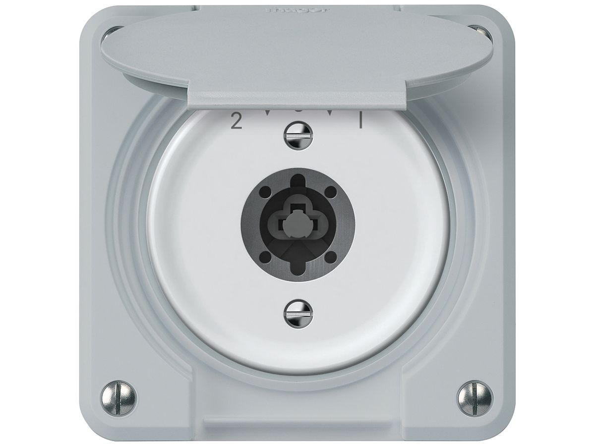 Schlüsselschwenktaster robusto 1P 2NO 2CO 20A 250V 86×86mm grau