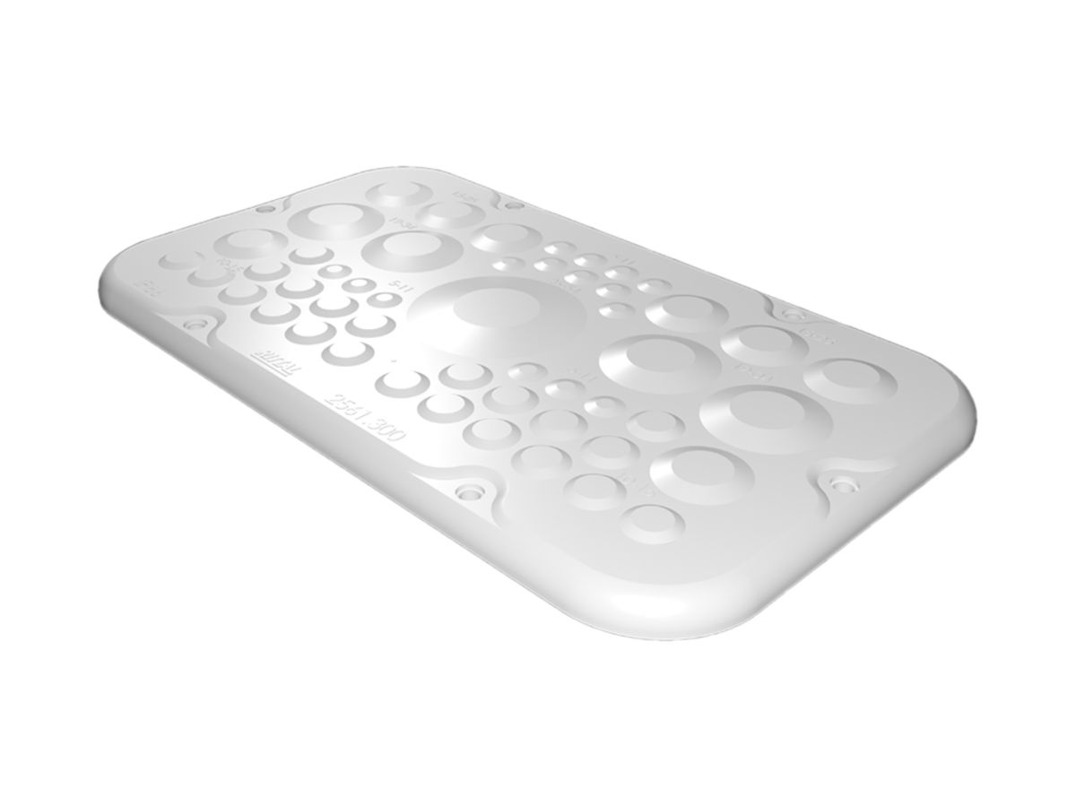 Flanschplatte Rittal AX, mit Membranen, 256×149mm, Kunststoff