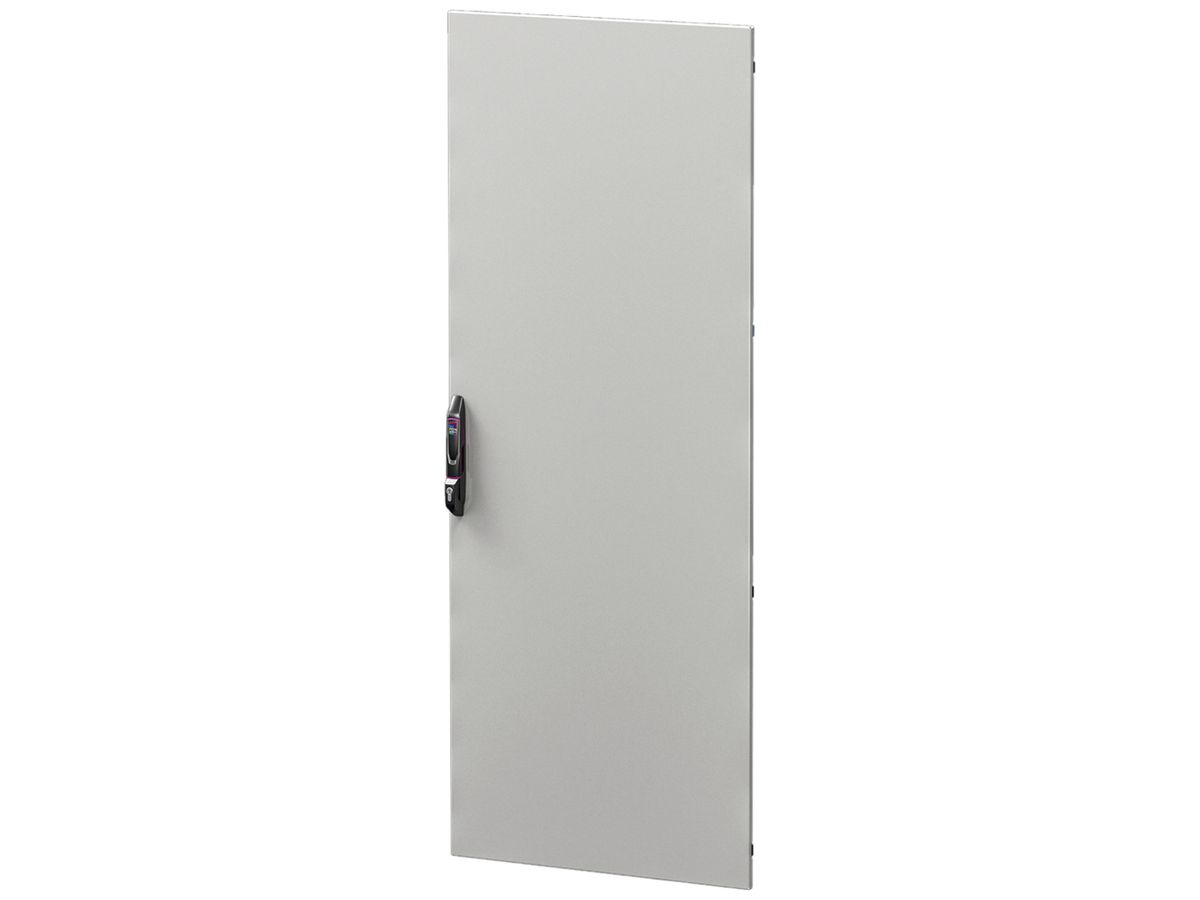 Tür Rittal DK 5301.542 800×2200mm einteilig für VX IT geschlossen grau IP55