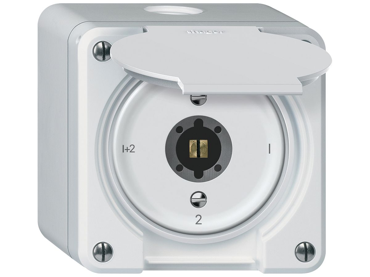 AP-Schlüsselschalter robusto Serienschalter 16A 250V 86×86mm weiss