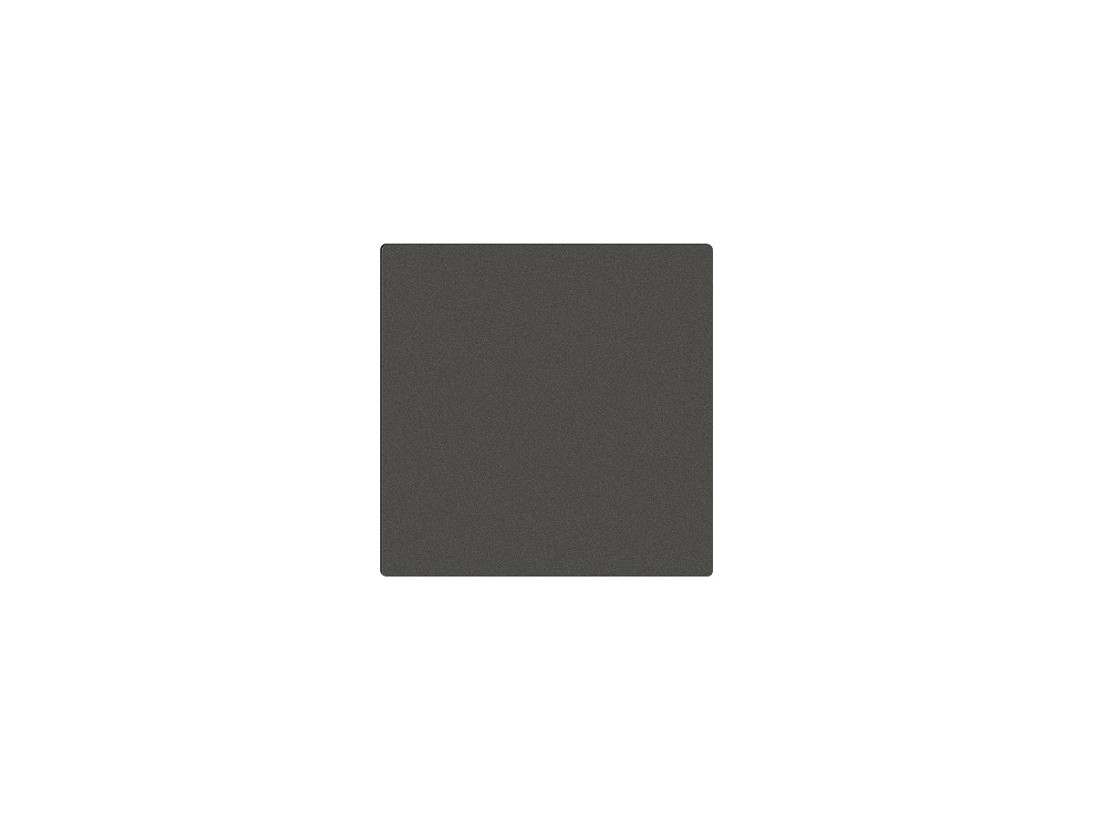 Frontplatte EDIZIOdue schwarz, für zeptrion App station 4k