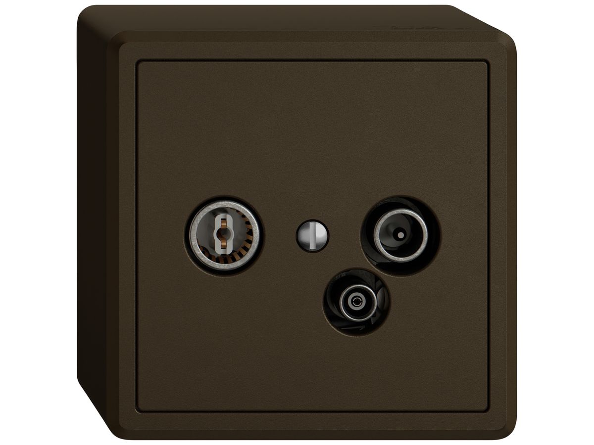 AP-Antennendose TV-R-Daten EDIZIO.liv SNAPFIX® 11dB br