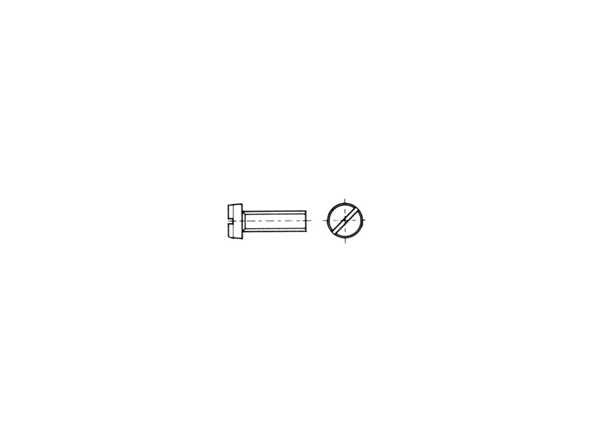 Zylinderkopf-Schraube M6×12mm verz.4.8 VSM 13300/DIN 84