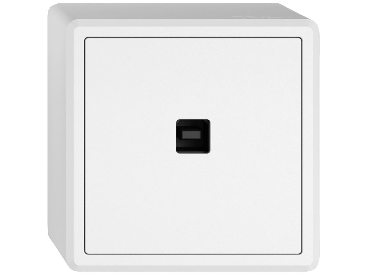 AP-USB-Datenschnittstelle KNX EDIZIO.liv SNAPFIX® USB-Buchse Typ B ws