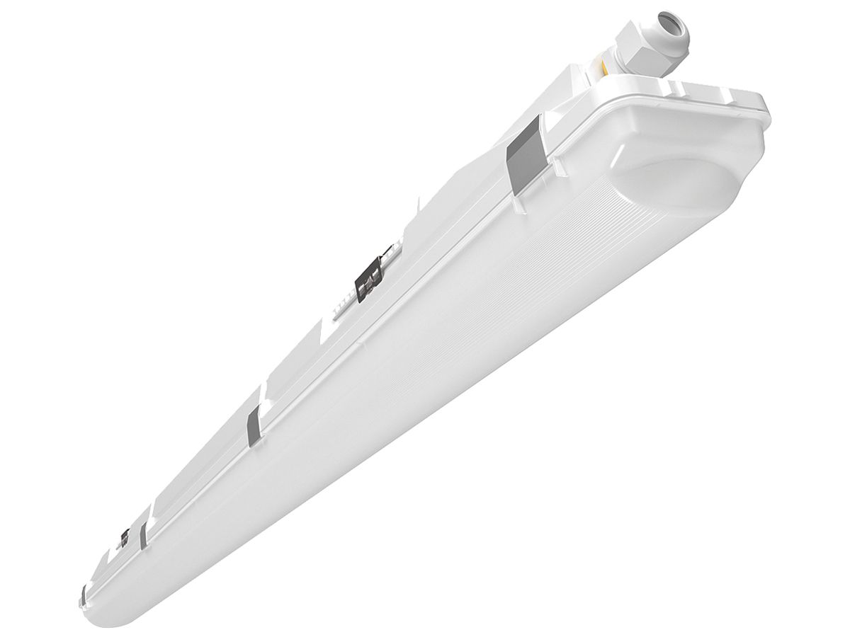 LED-Feuchtraumleuchte ESYLUX OLIVIA-2 33W 5000lm 4000K IP66 DALI-2 hellgrau