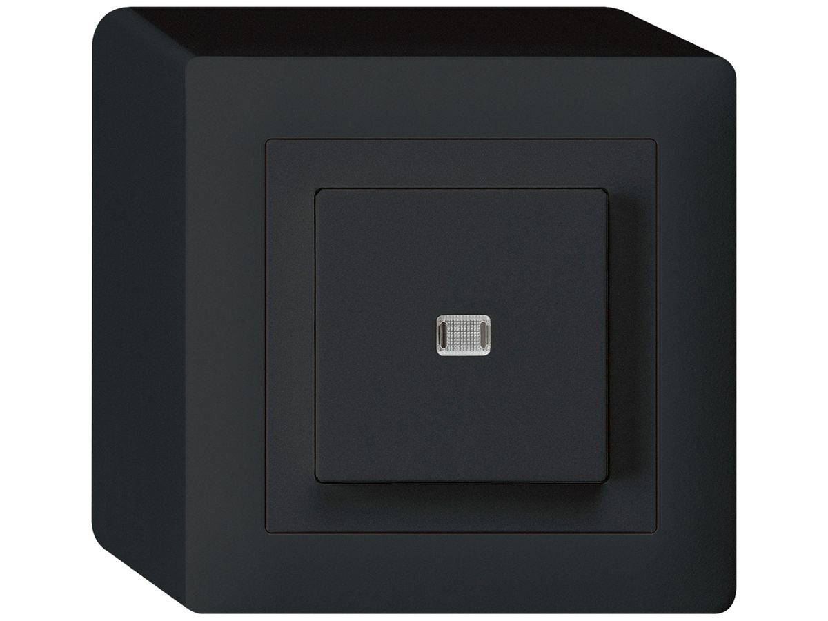 AP-Leuchtdruckschalter kallysto 3/2L schwarz