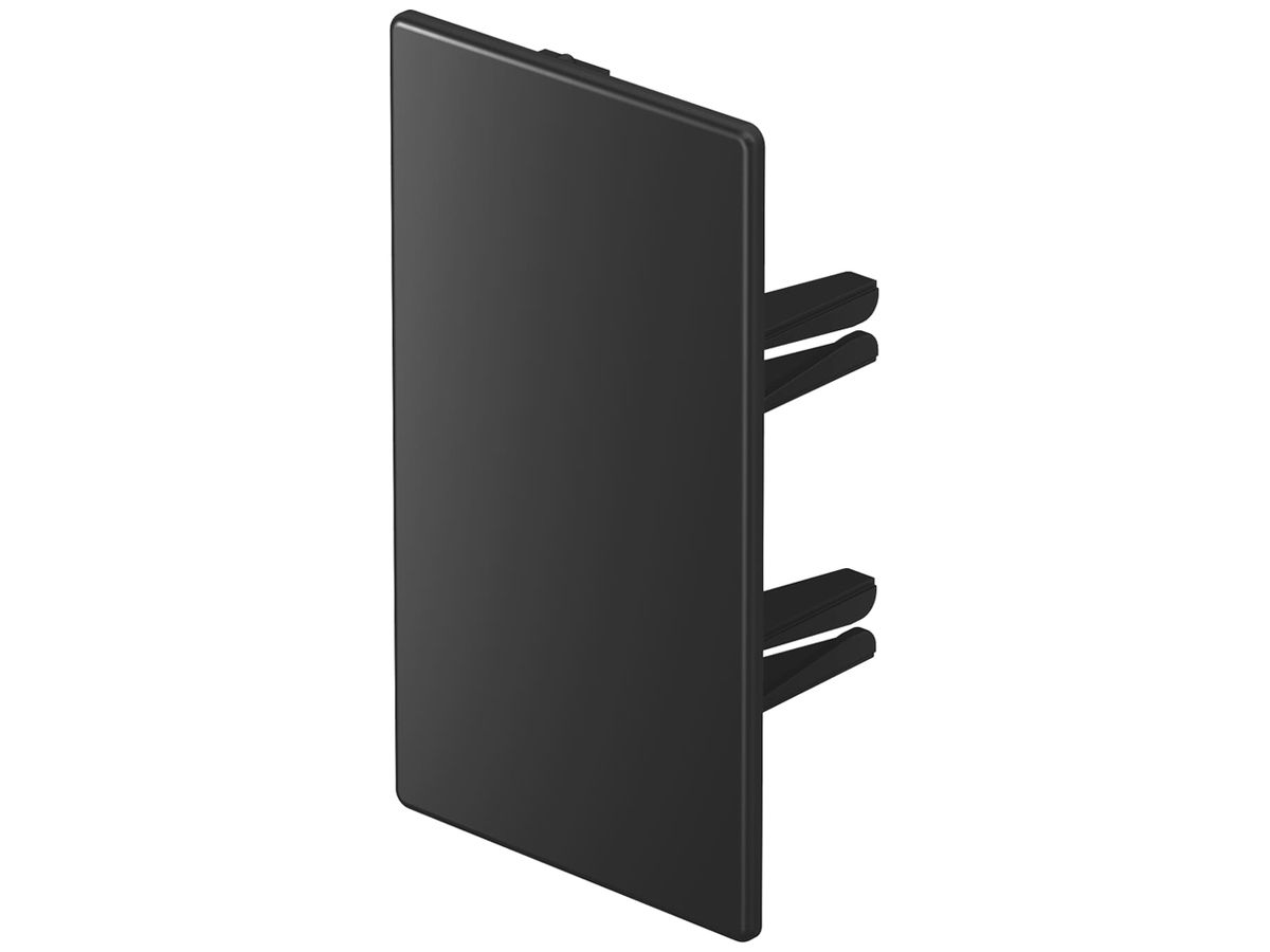 Endplatte BET WDK 110×60mm PVC sz