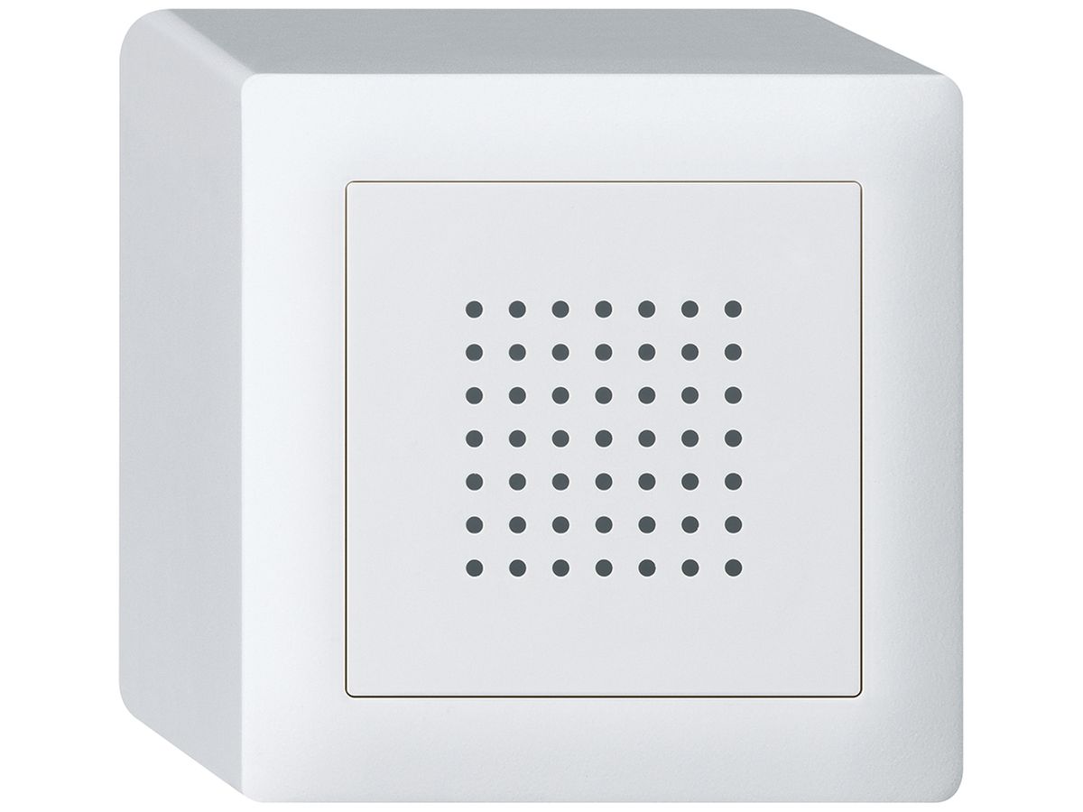 AP-Türgong kallysto 12V weiss