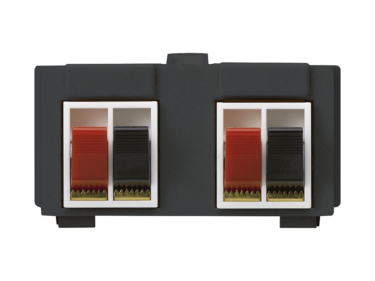 Multimedia-Modul M3 mit 4×LS-Klemme rot/schwarz kallysto schwarz