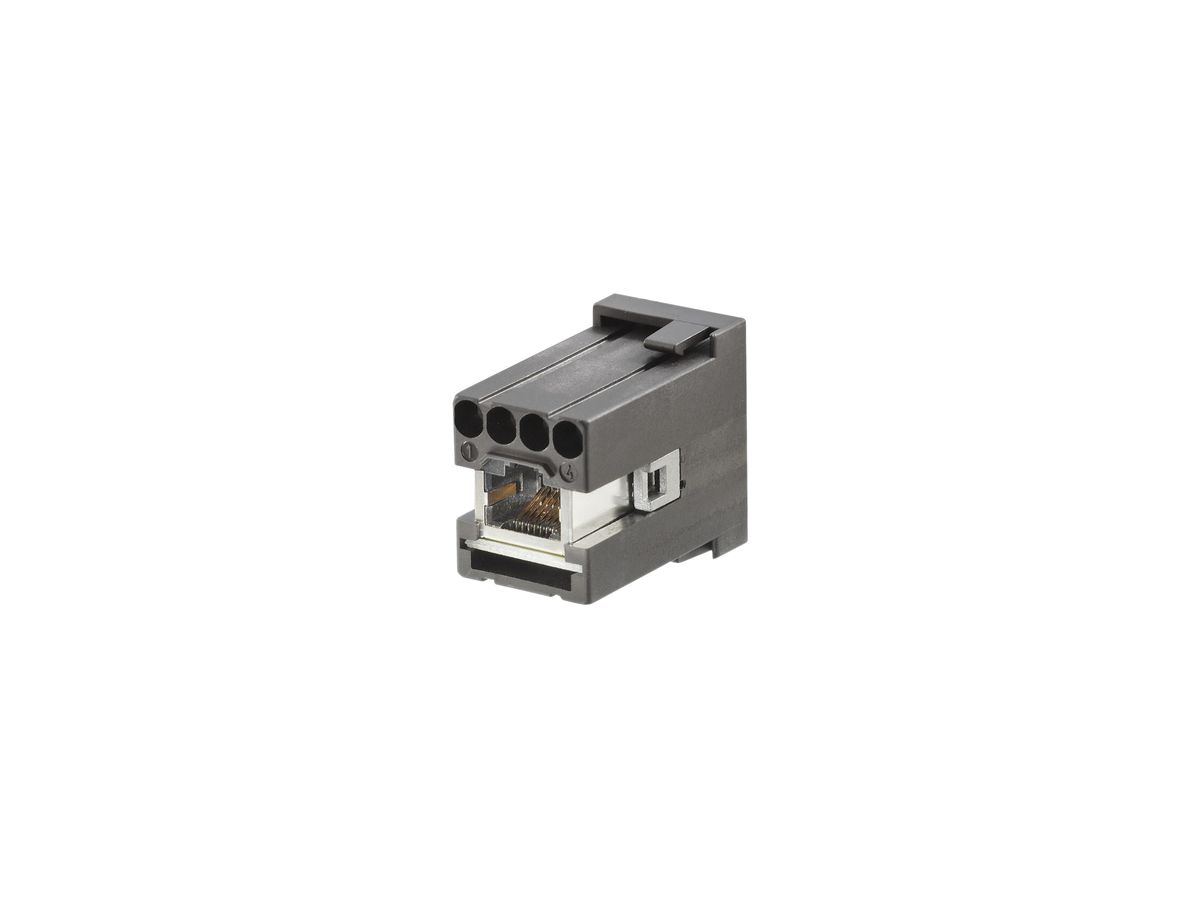 Einsatz Weidmüller ConCept HDC CM RJ45 F Modul