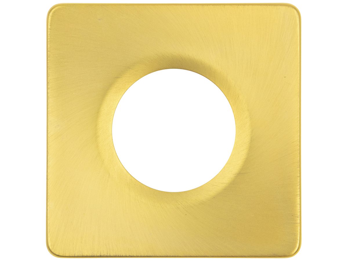 Zierring DOTLUX MULTISCREW Edelstahl 80×80×5mm Gold