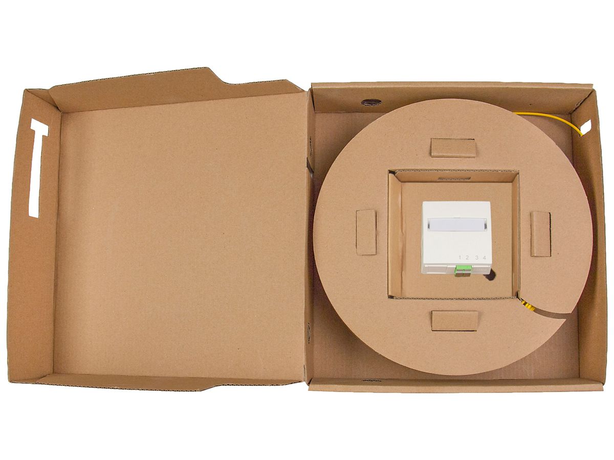 FTTH-Dose EDIZIO.liv EASYNET OS2 SNAPFIX® 2 Fasern 40m