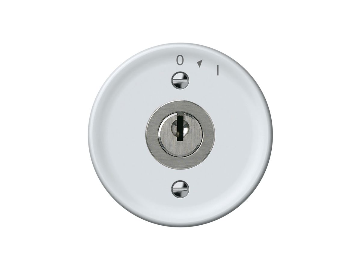 Schwenktaster origin mit Zylinder 1P 0<1 10A 230V 60×60mm weiss