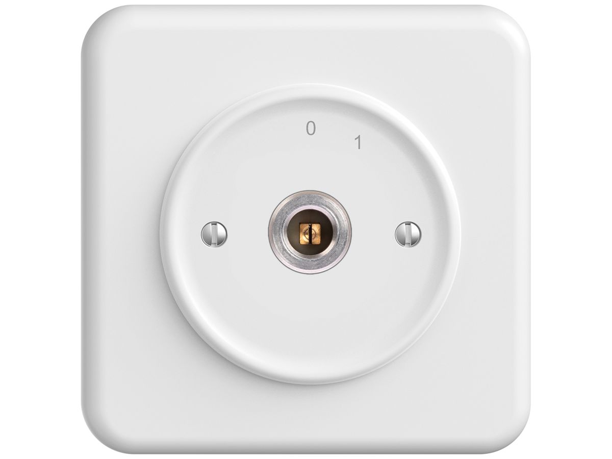 UP-Schlüsselschalter STANDARDdue 1P Vierkant/Schlitz 20A 690V 0-1 Rückzug ws