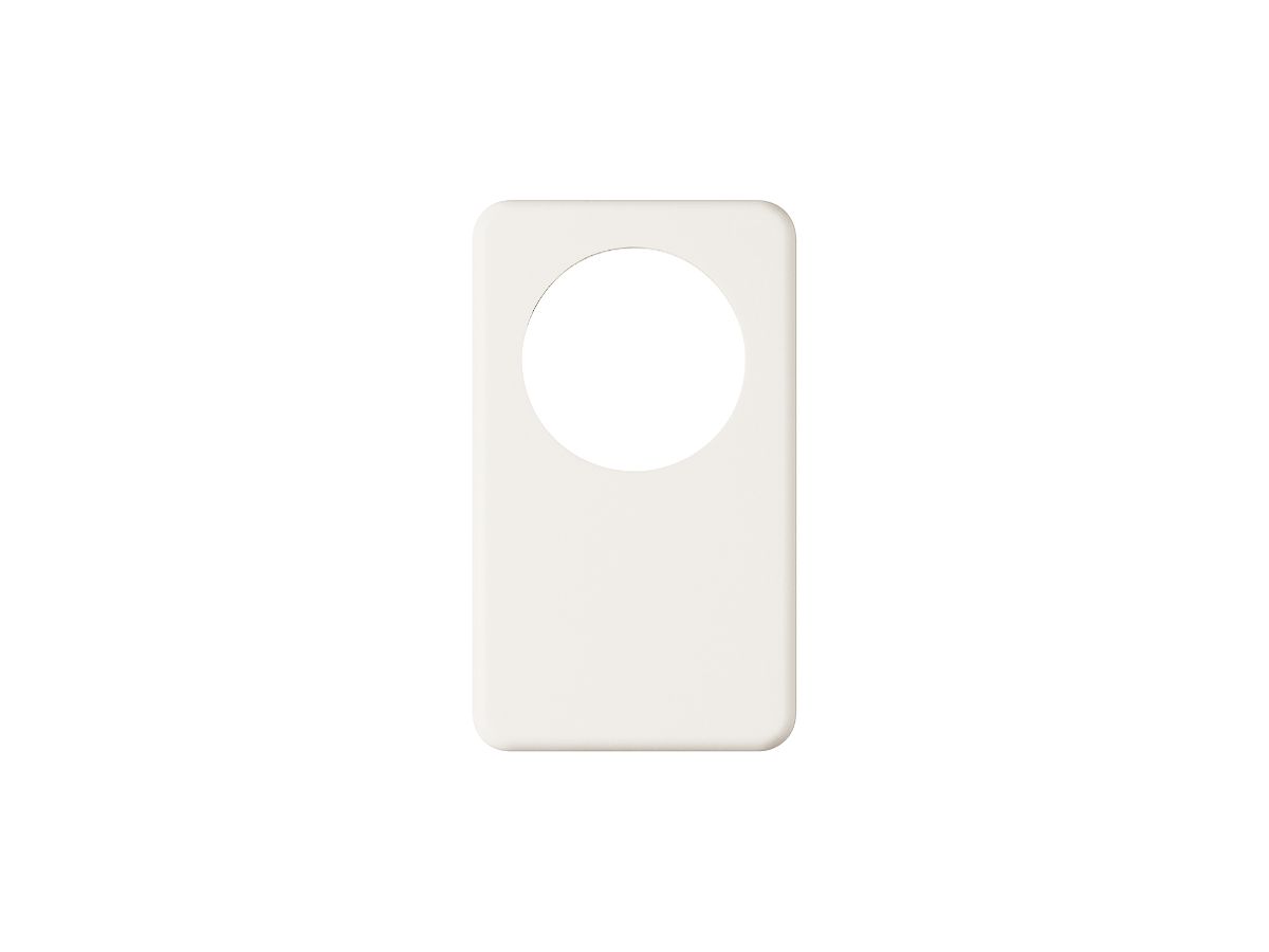 Abdeckplatte I-I 58mm+blind weiss