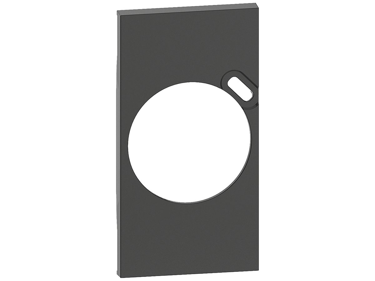 Abdeckung Living Now 2 Module für Steckdose FR mit USB schwarz