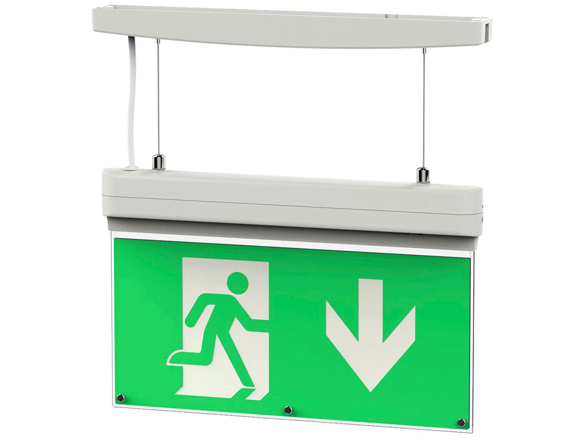 LED-Rettungszeichenleuchte DOTLUX EXITmulti IP20 Wand/Decke