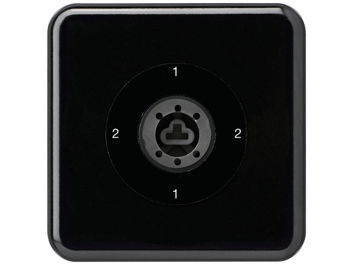 UP-Schlüsselschalter 3/1L schwarz basico ohne Zylinder