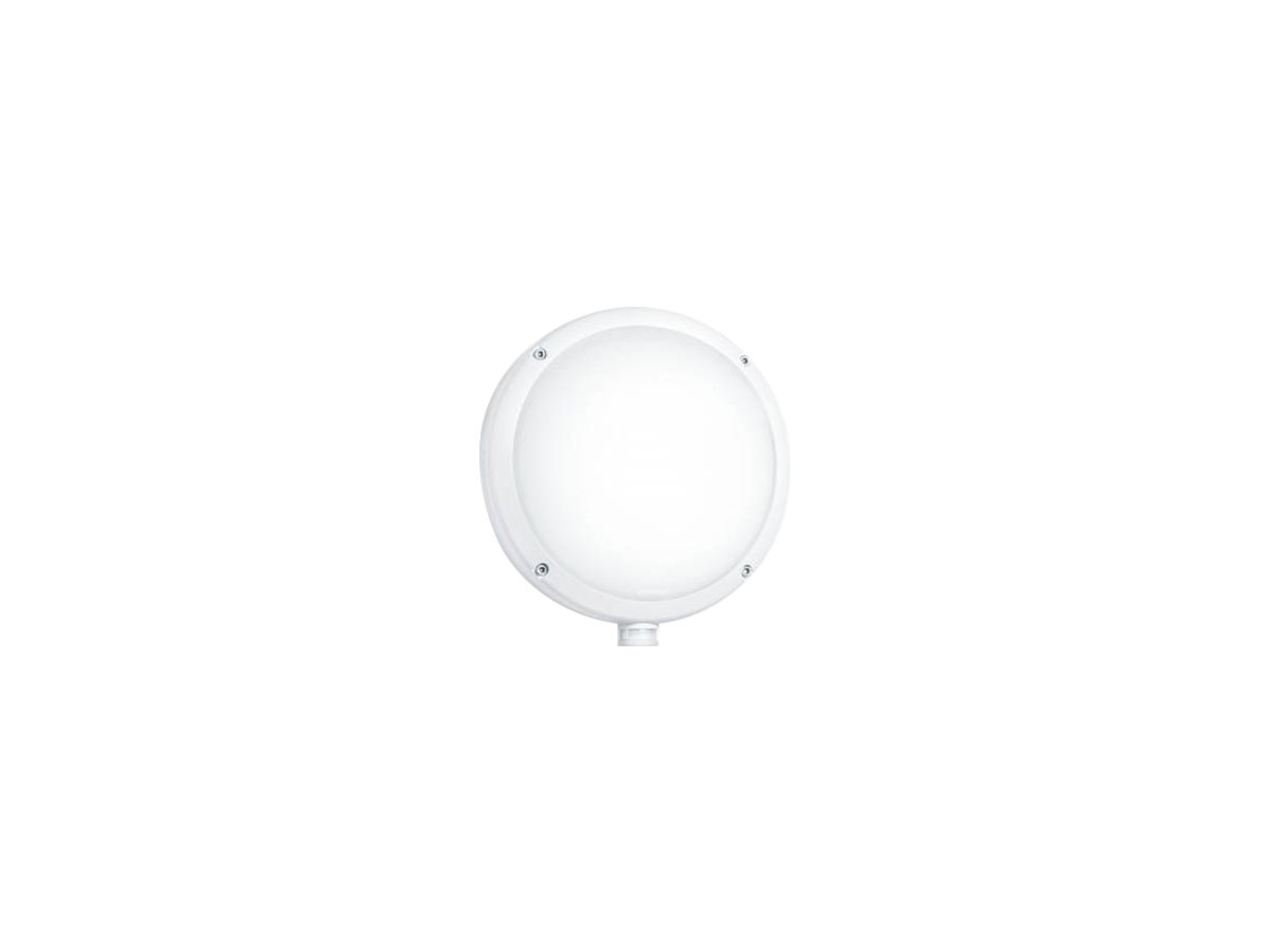 Diffusor Steinel für L 330/331 LED