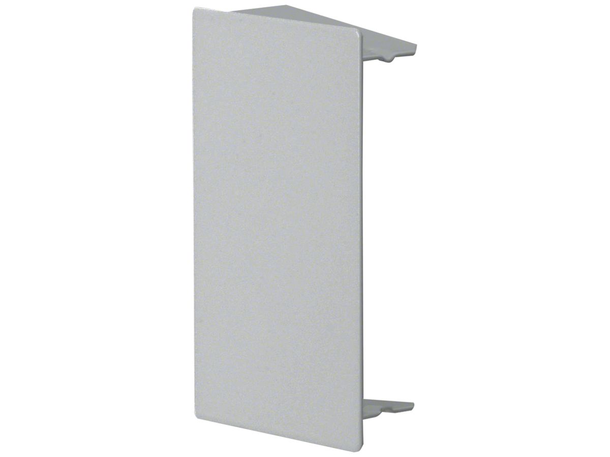 Endstück Hager tehalit.LFS 100×60mm Zink IP30