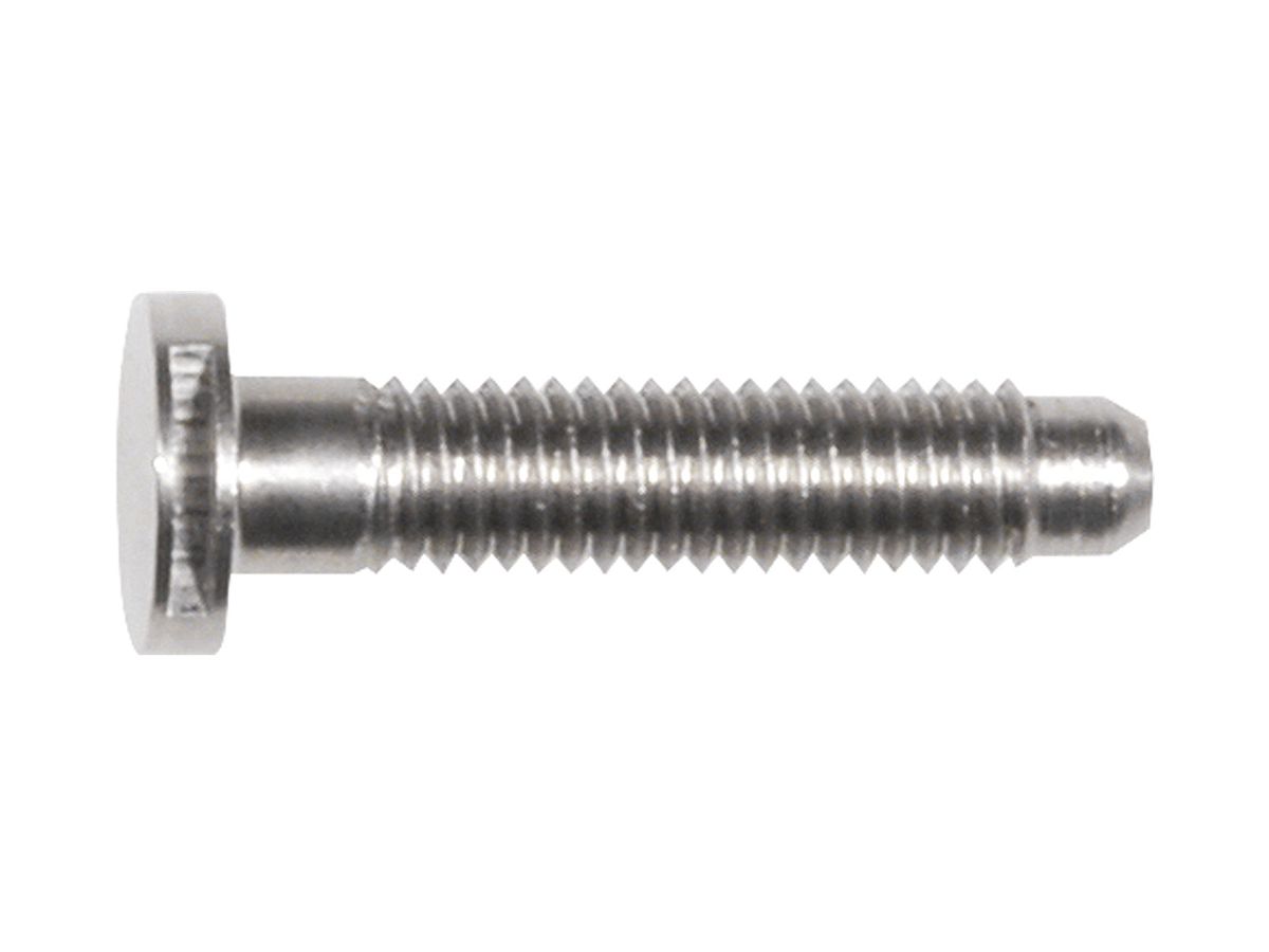 Ersatz-Schraube Hager REH107X elcom.modesta ZY Edelstahl, für Türsprechanlage
