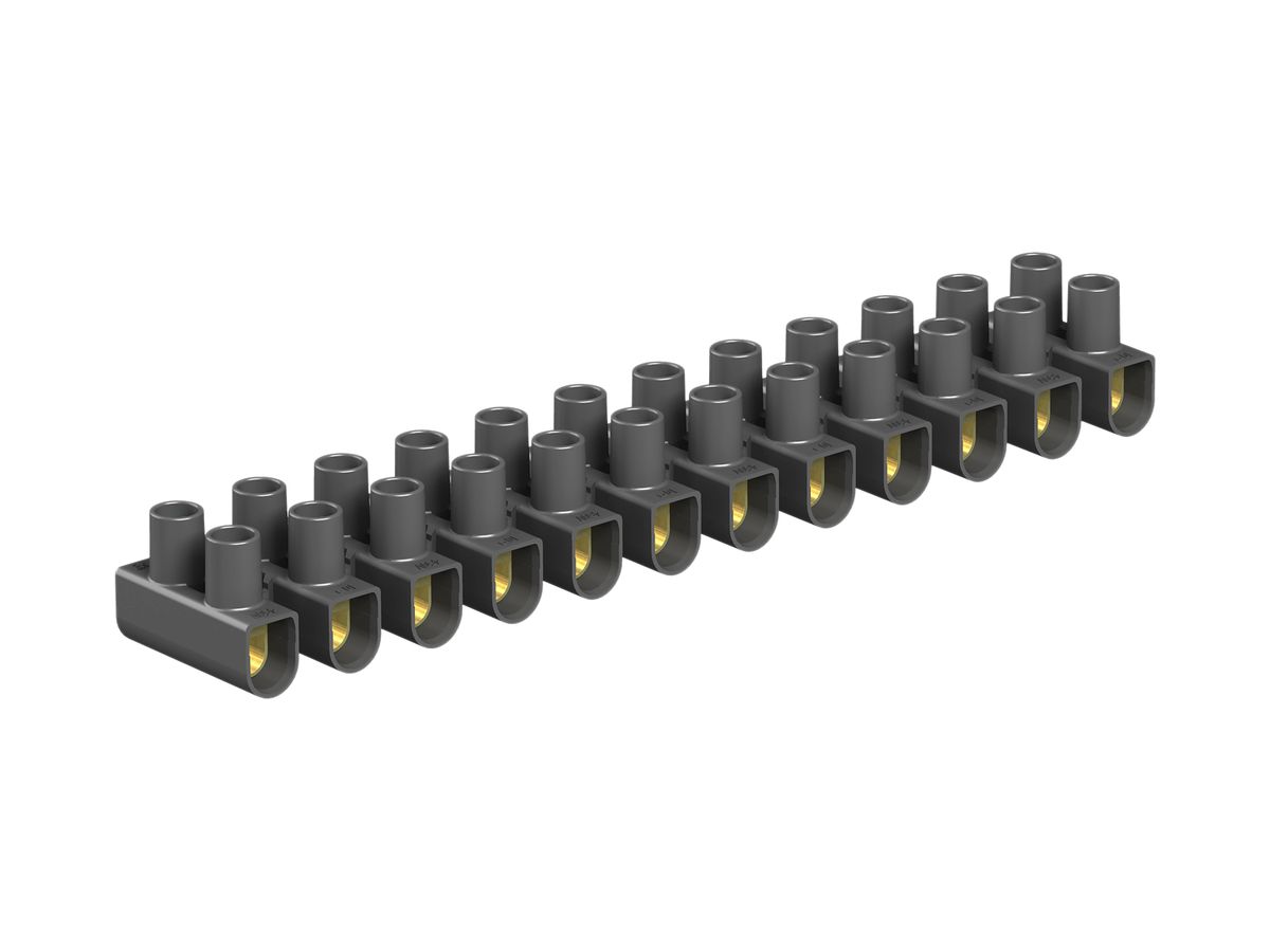 Klemmenleiste Bettermann 12P 2.5…6mm² 450V schwarz
