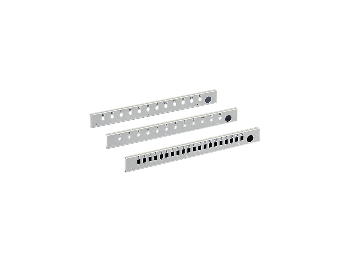 Patchpanel Rittal DK 7169.535 grau 12-Port 19" 1HE