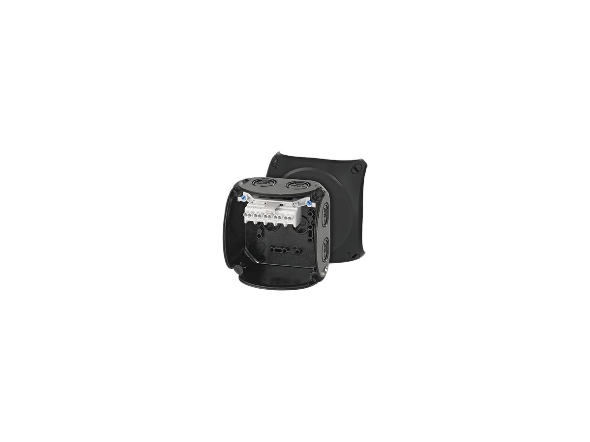 AP-Abzweigdose Hensel KF B mit Klemmen 5×2.5mm² schwarz