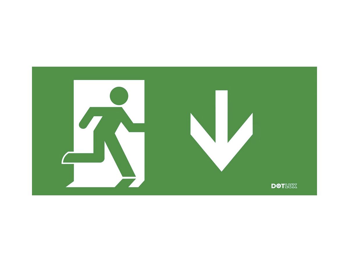 Piktogramm DOTLUX EXITmulti 1×Pfeil Ausgang nach unten