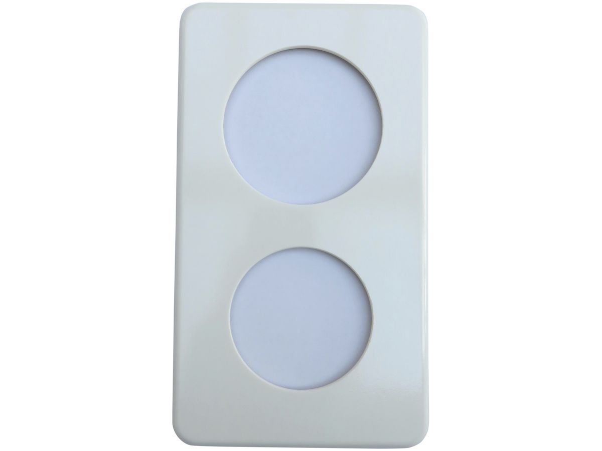 Abdeckplatte 2×II 58+66/80mm weiss