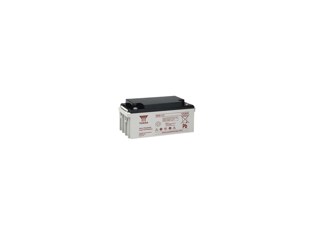 Akku Yuasa NP 65-12I 12VDC 65 Ah
