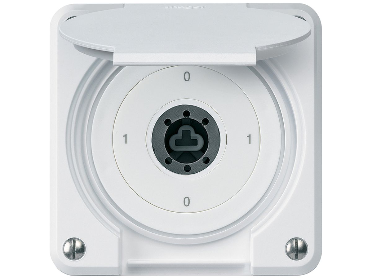UP-Schlüsselschalter robusto IP55 mit Klappdeckel ohne Zylinder S0/1P weiss