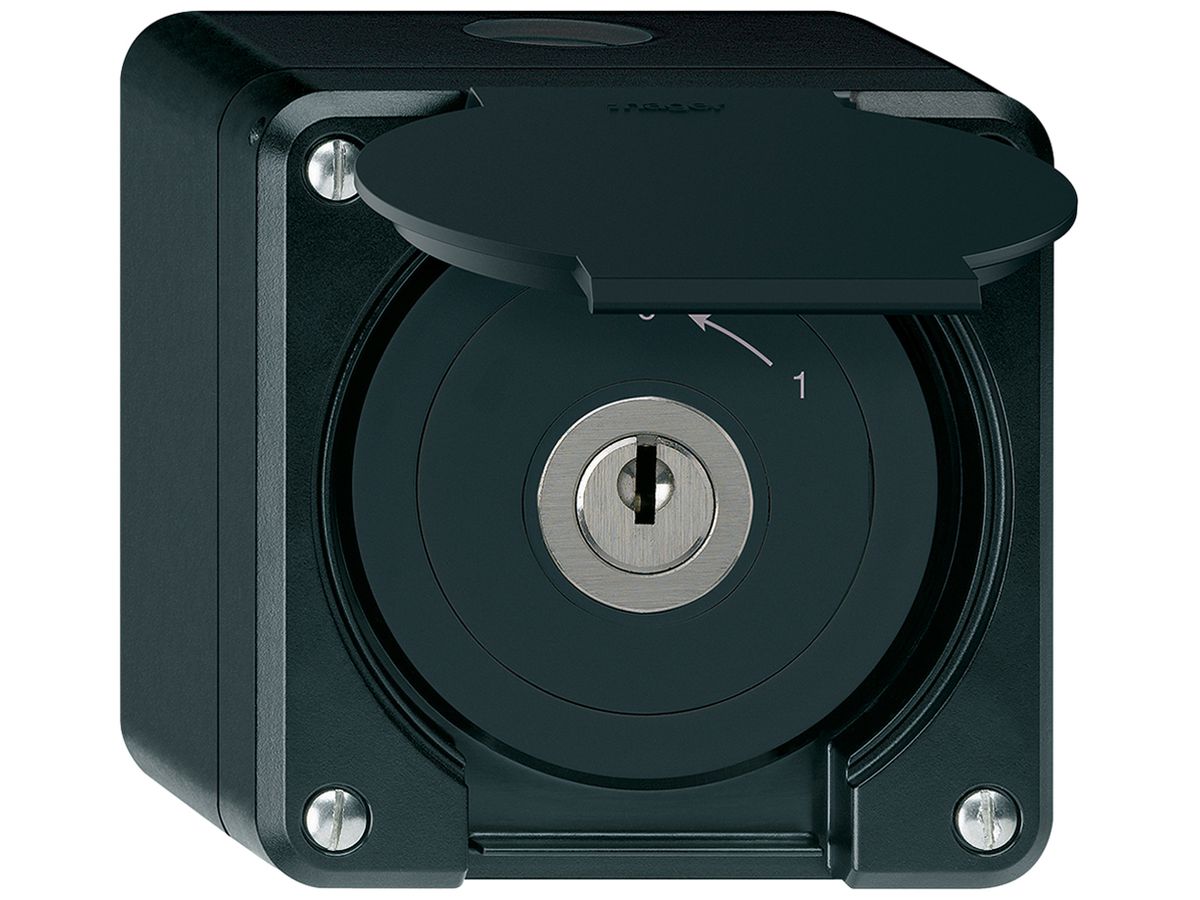 AP-Schlüsselschwenktaster robusto IP55 schwarz mit Deckel 2P
