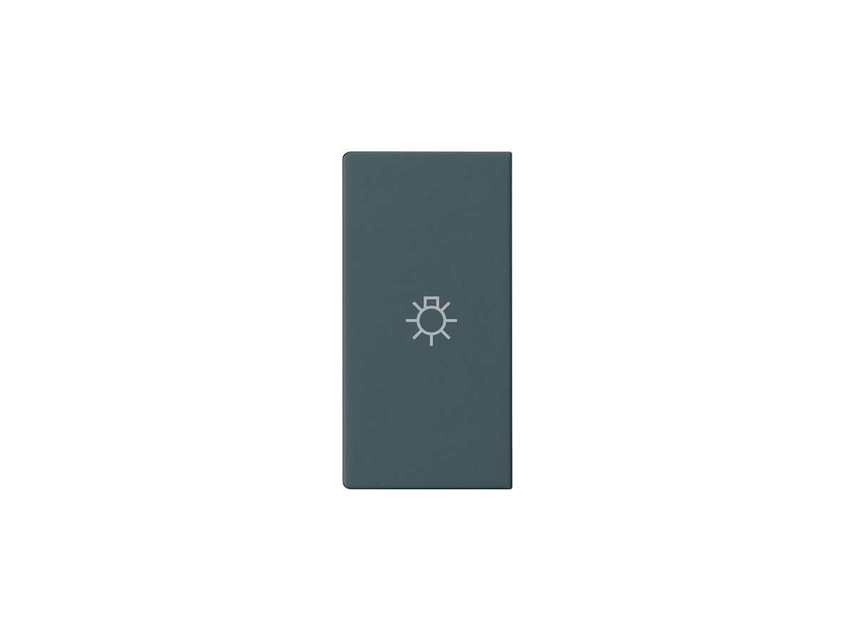 Knopf kallysto mit Symbol Licht anthrazit