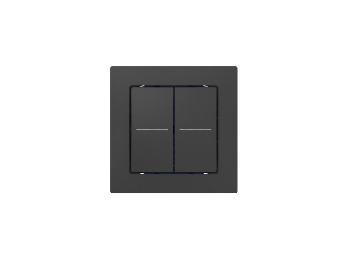 Tastsensor ABB Sidus KNX Basic Typ-E, 2/4, anthrazit