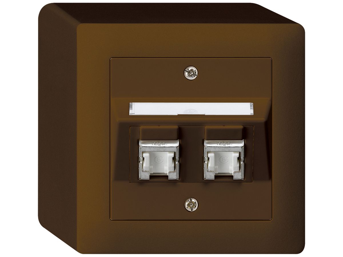 AP-Dose kallysto Kat.6 2RJ45/s braun