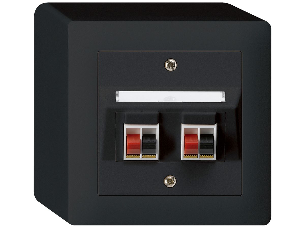 AP-Audiodose kallysto 2×schwarz Klemmanschluss für 2 LS