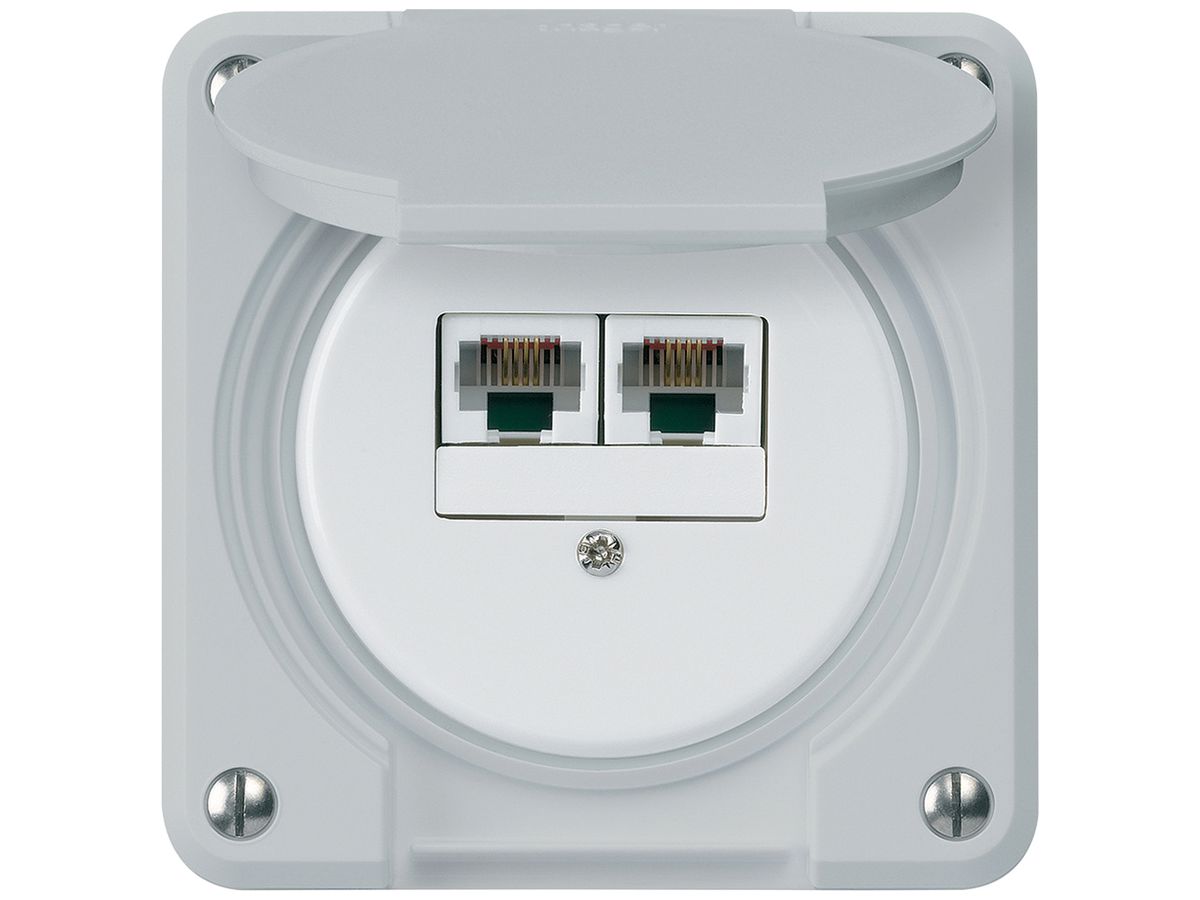 UP-Anschlussdose robusto IP55 grau 2×RJ45/u parallel für Kombination