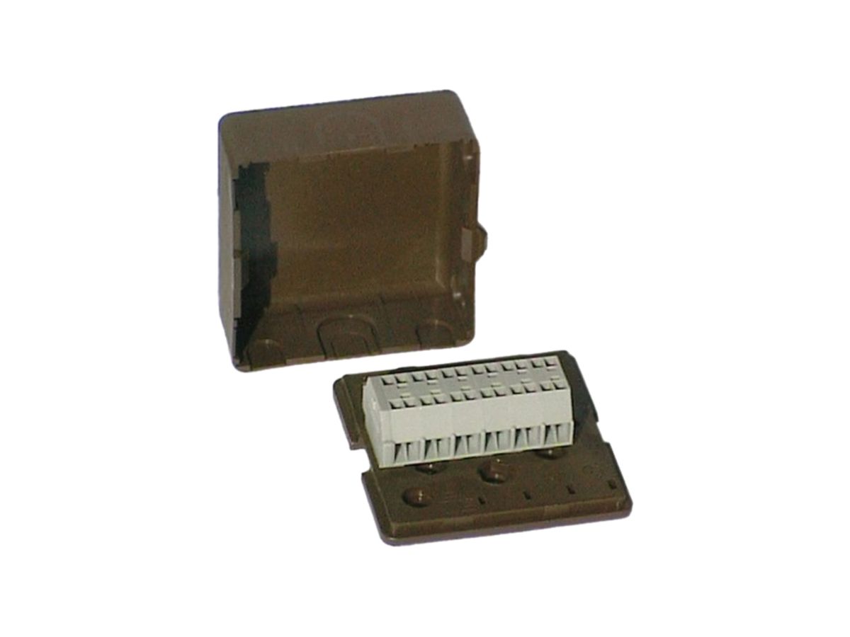 AP-Abzweigdose Woodtli mit Deckel leer braun