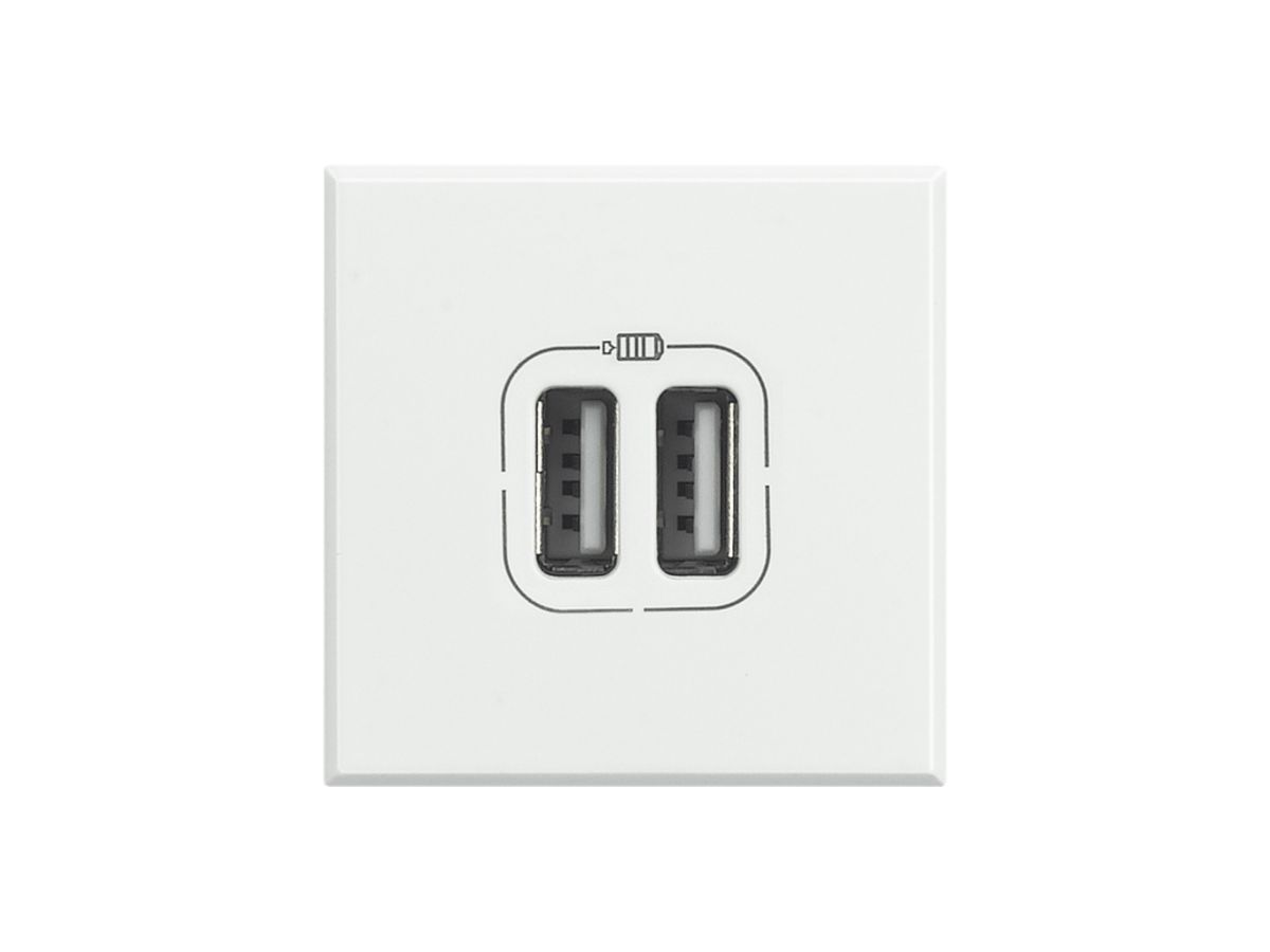 EB-USB-Ladesteckdose Axolute 2 Module, 2-fach, 5V, 2400mA, weiss
